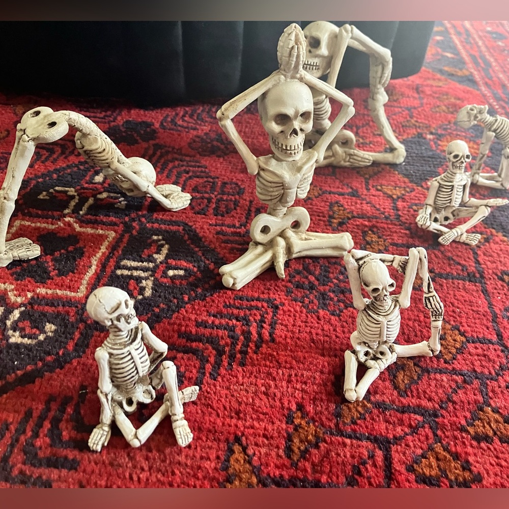 Skeletons doing yoga! - Picture 3 of 4